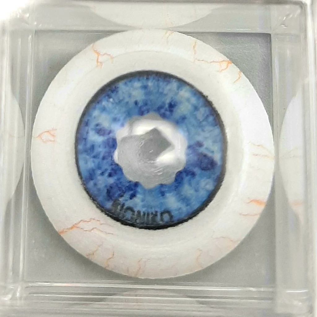 Okulo Anterior Segment Blue 5 | OPHT-OKU-AS-BL5