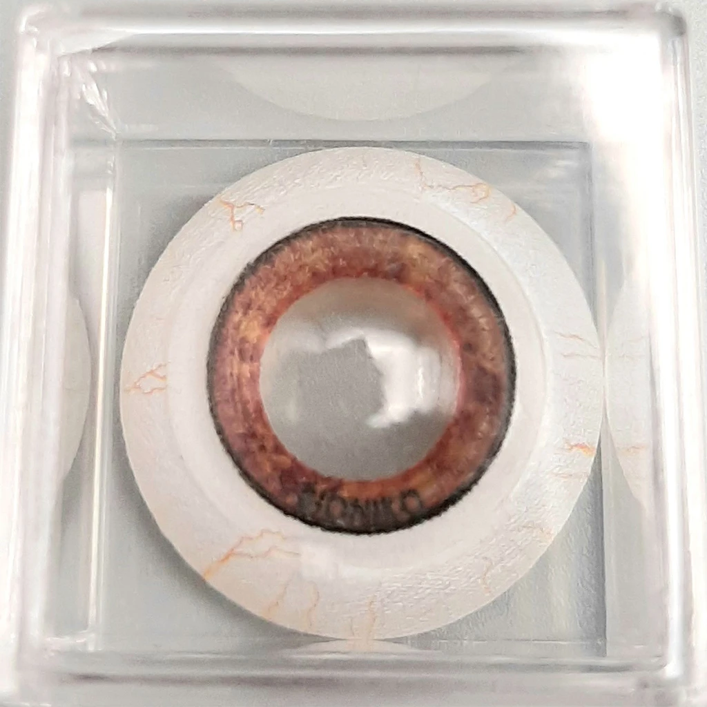 Okulo Anterior Segment Brown 8 | OPHT-OKU-AS-BR8
