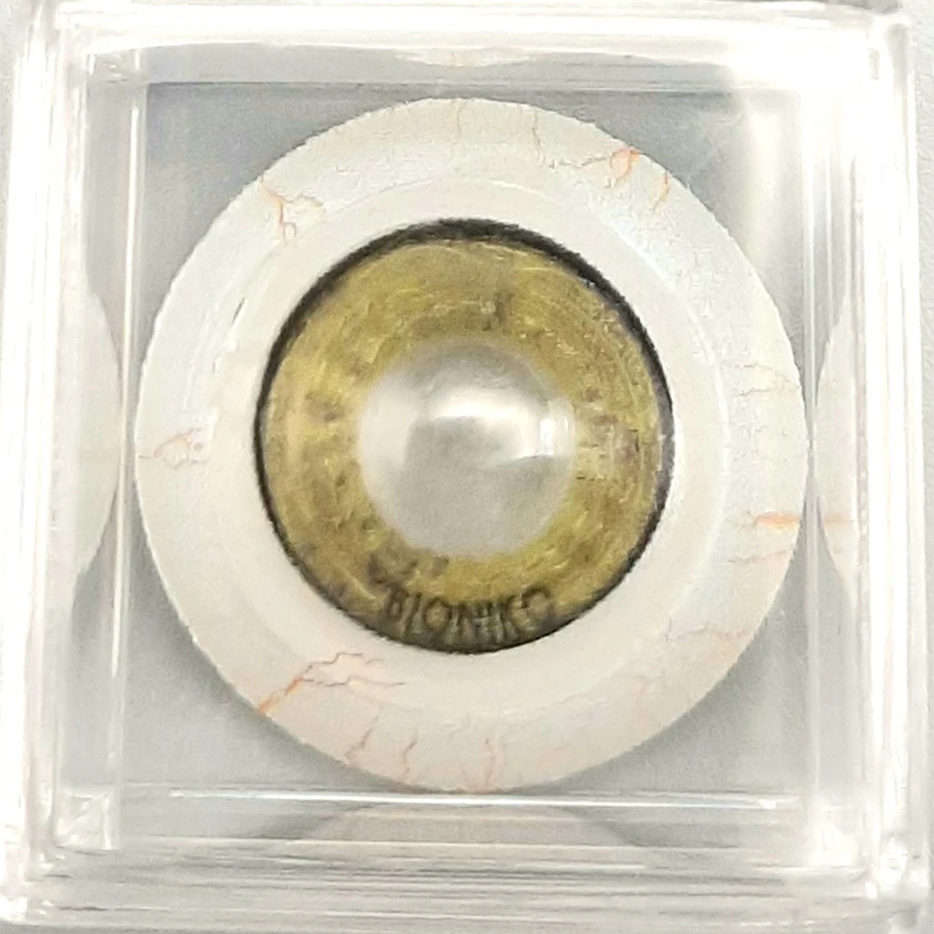 Okulo Anterior Segment Green 6 | OPHT-OKU-AS-GR6