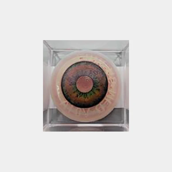 Link Shallow Anterior Segment | OPHT-LINK-AS-MED