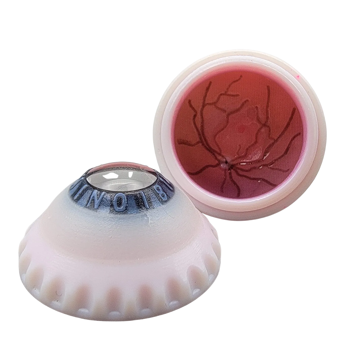 XChange Complete For Subretinal Injection (per unit) | OPHT-XCHG-C-INJ